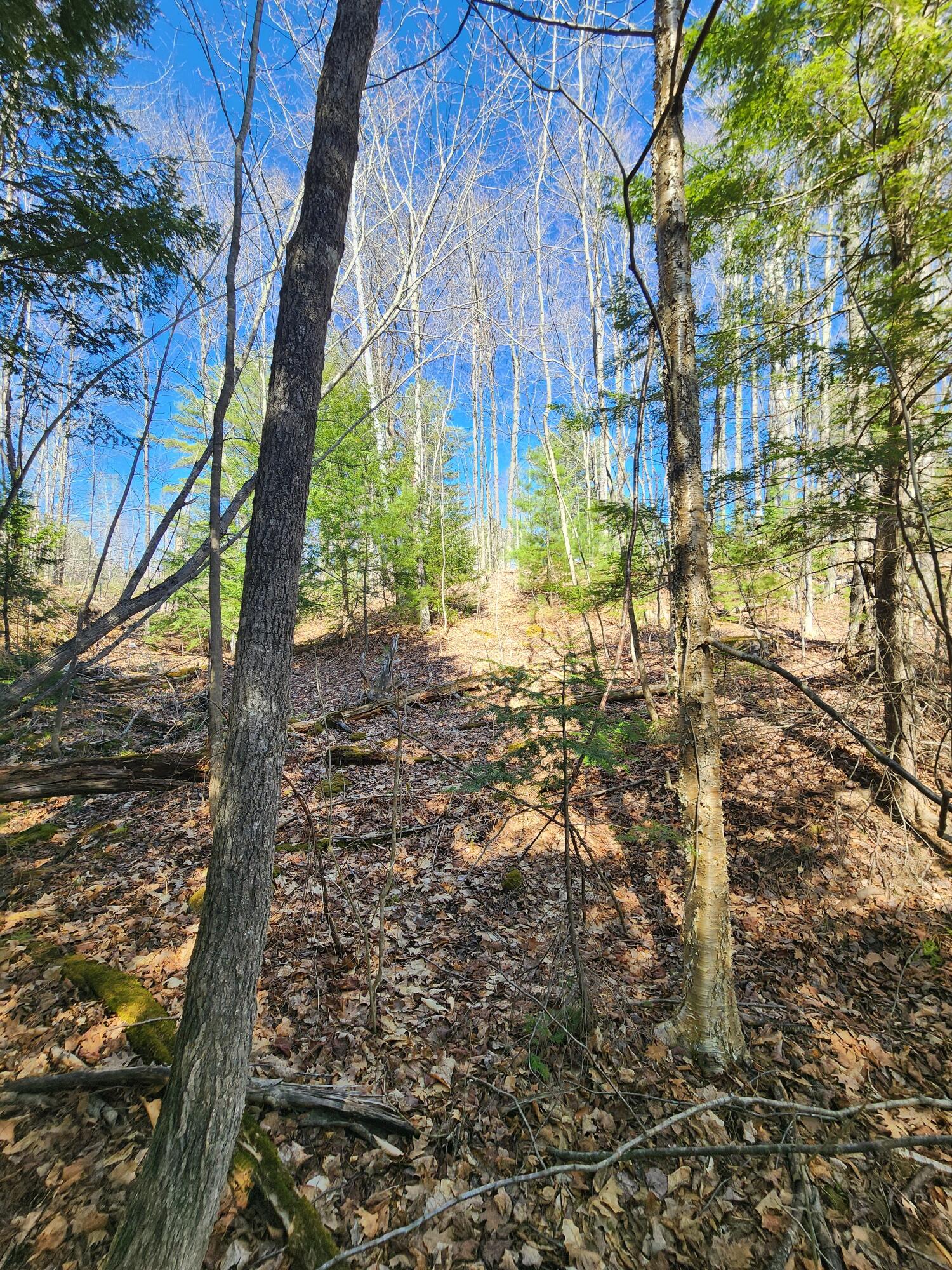0 Madison Road Norridgewock ME 04957