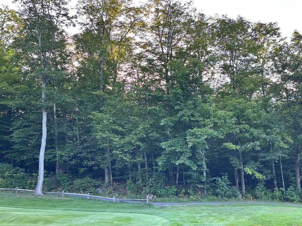 6097 Village On The Green Road Carrabassett Valley ME 04947