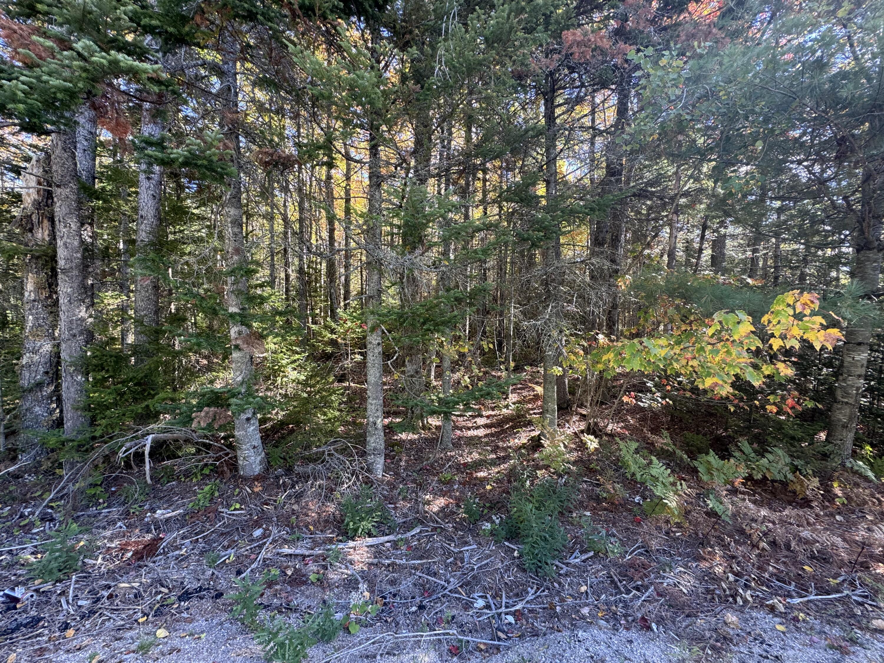 023-003-4 Walters Road Gouldsboro ME 04607