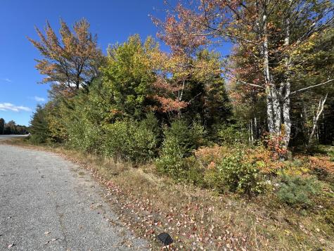 023-003-4 Walters Road Gouldsboro ME 04607