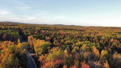 023-003-4 Walters Road Gouldsboro ME 04607