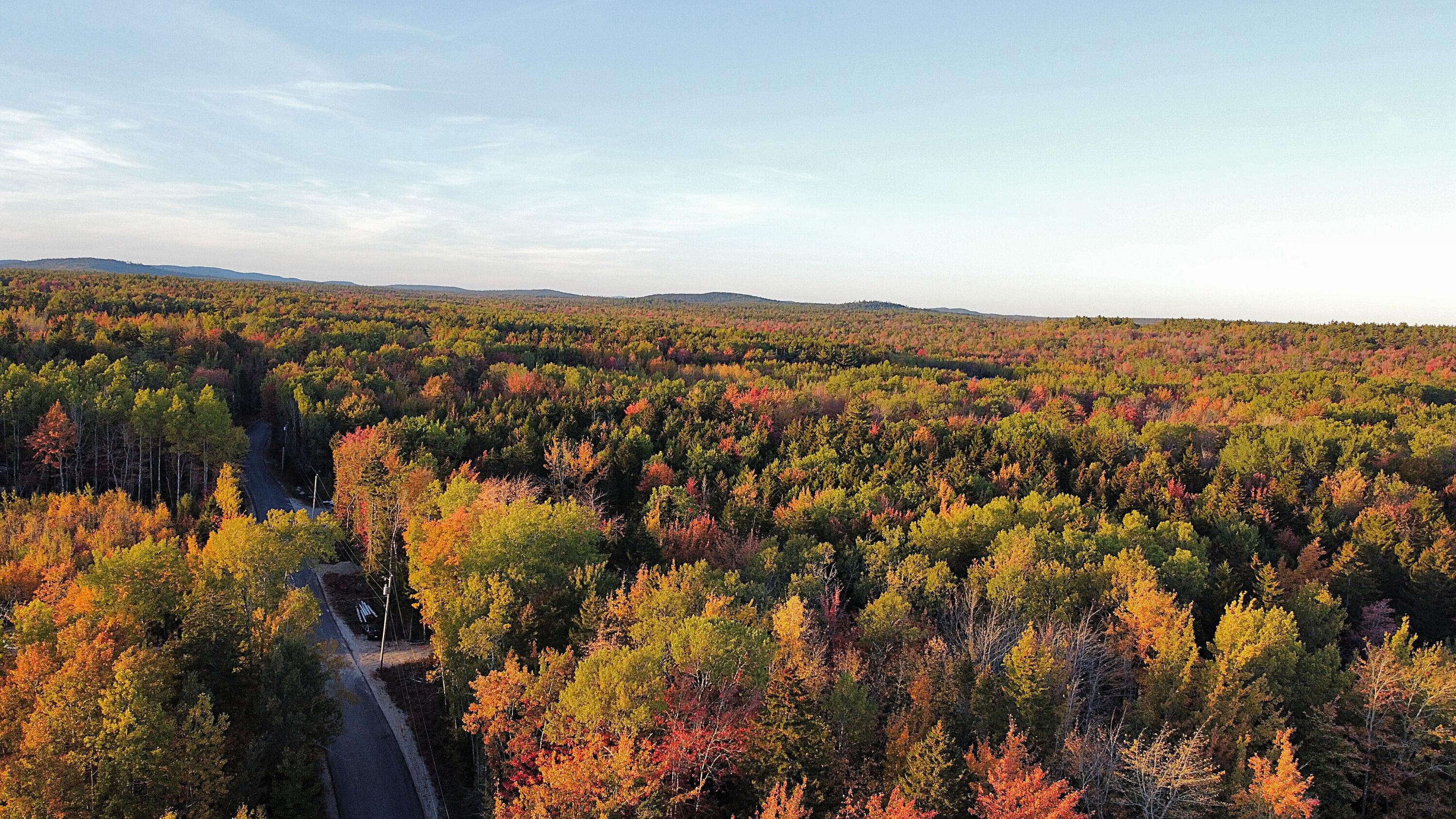 023-003-4 Walters Road Gouldsboro ME 04607