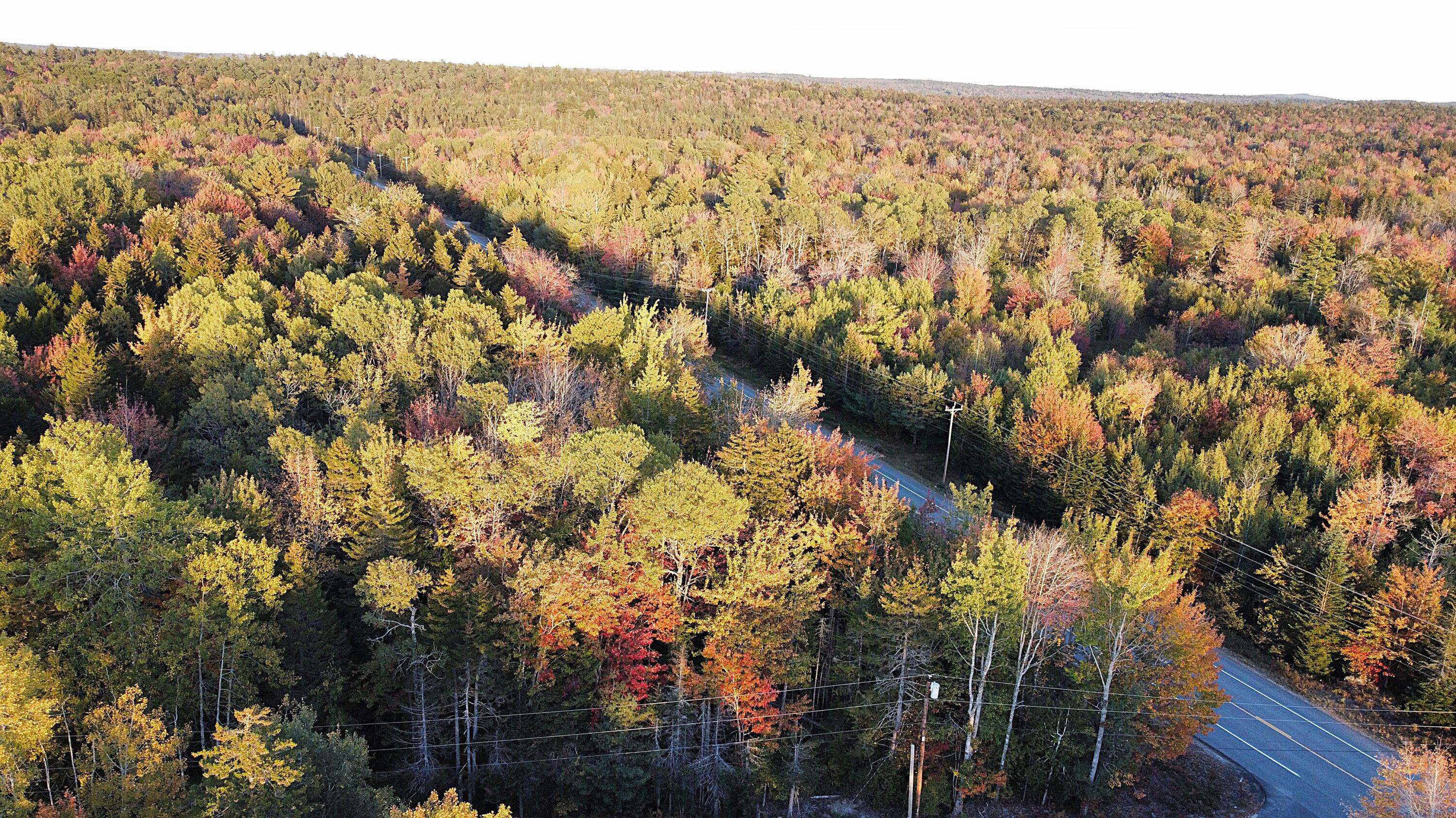 023-003-4 Walters Road Gouldsboro ME 04607