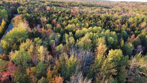 023-003-4 Walters Road Gouldsboro ME 04607