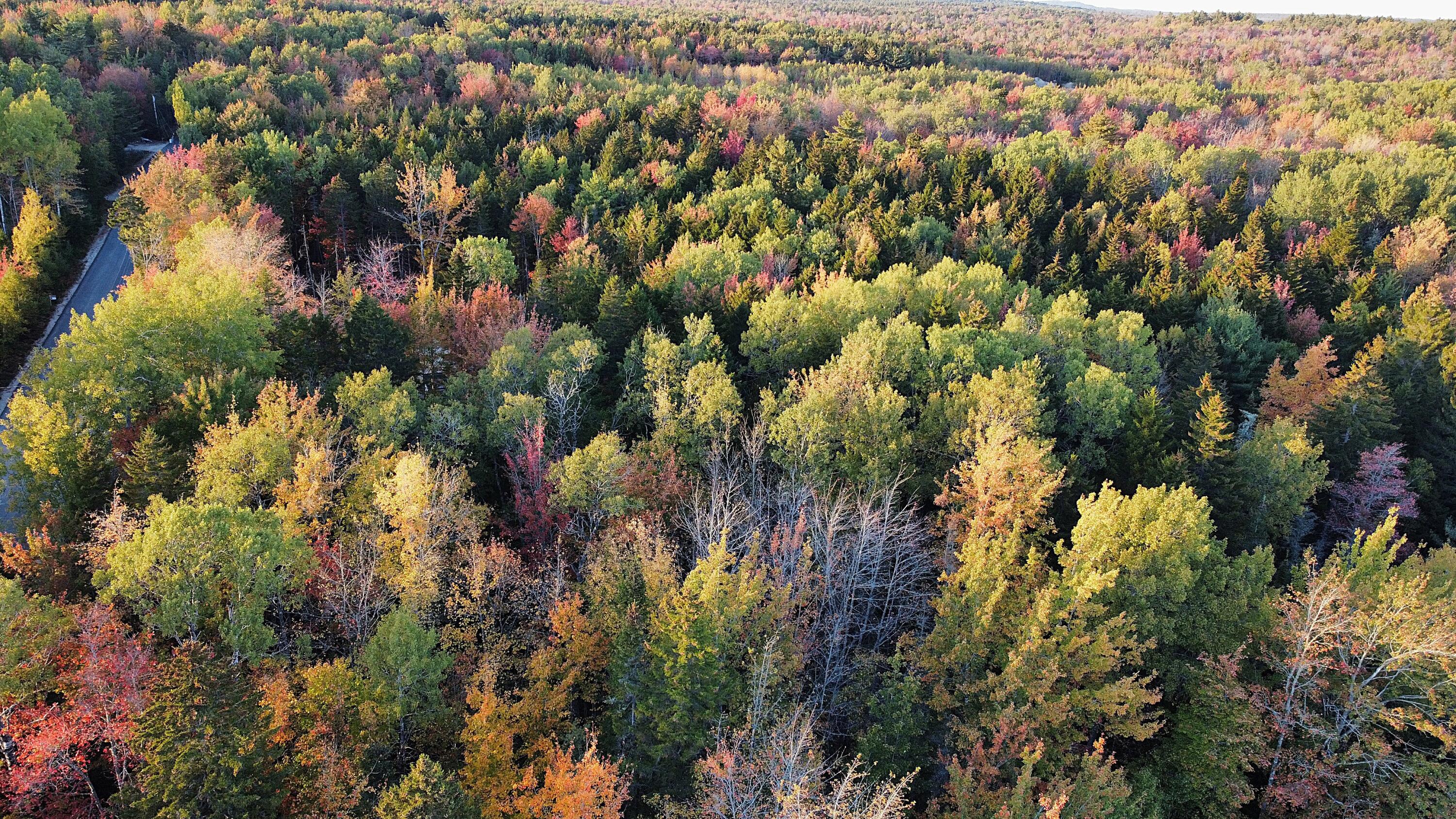 023-003-4 Walters Road Gouldsboro ME 04607