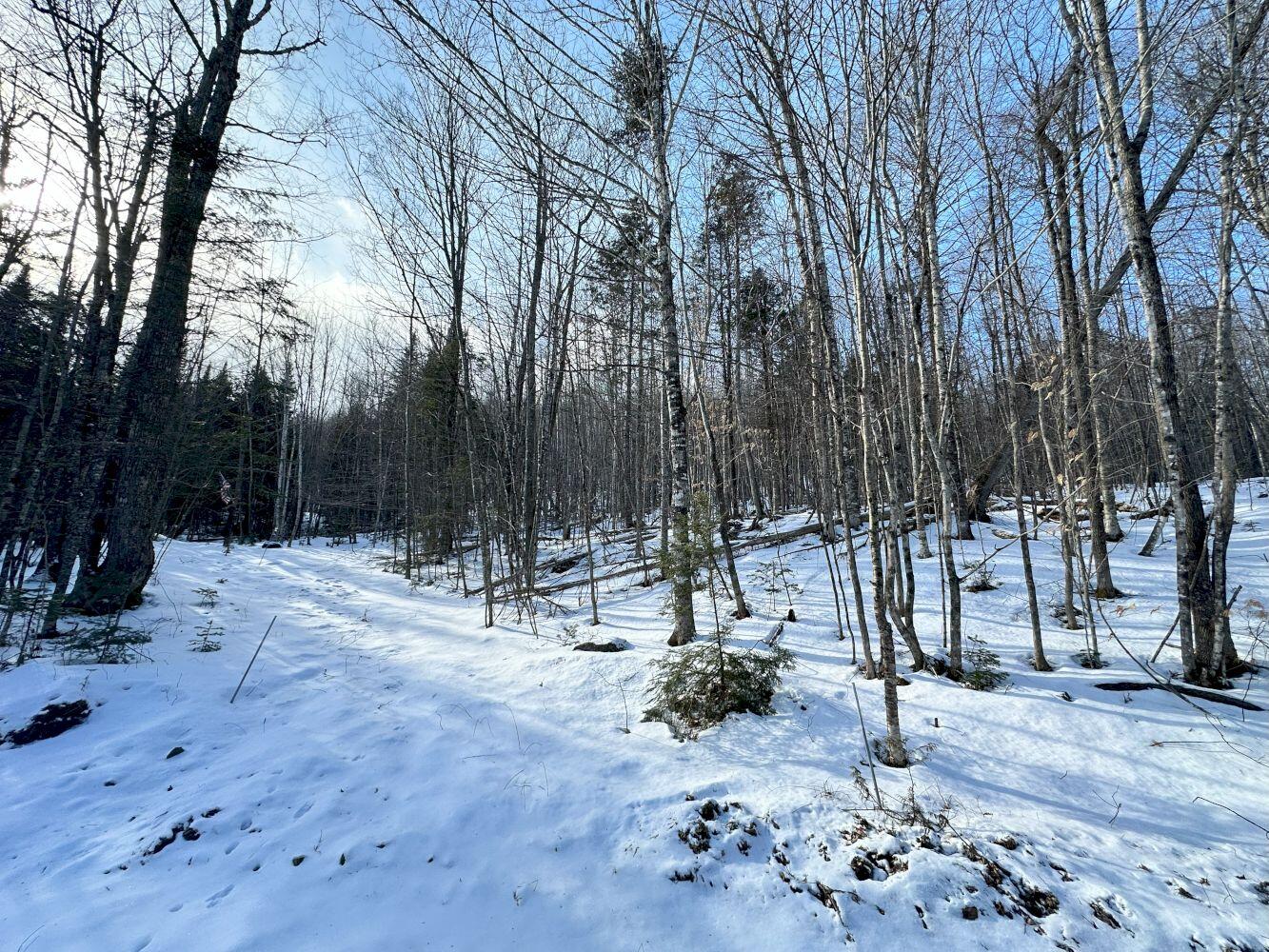 106 Burns Road Moscow ME 04920