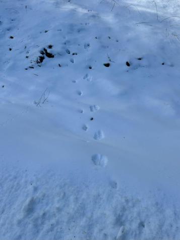 106 Burns Road Moscow ME 04920