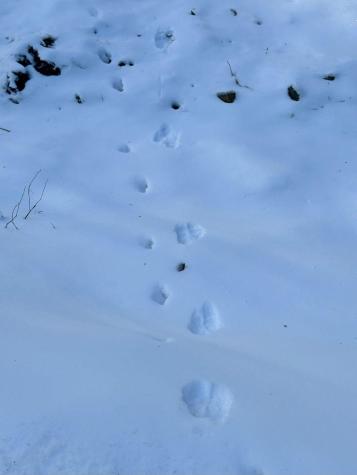 106 Burns Road Moscow ME 04920