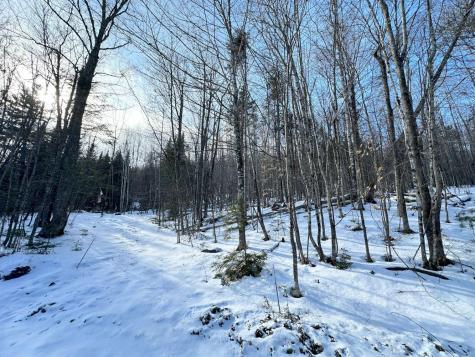 106 Burns Road Moscow ME 04920