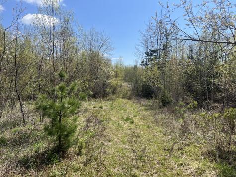 R04-012 Off Morse Lane Cherryfield ME 04622