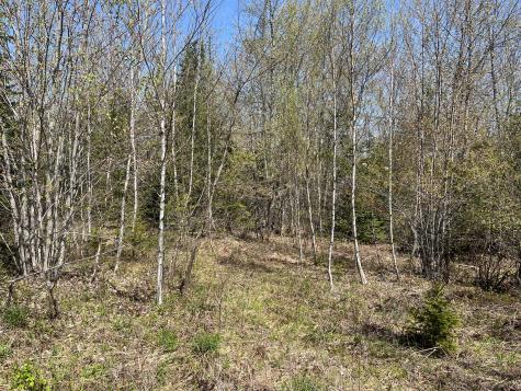 R04-012 Off Morse Lane Cherryfield ME 04622