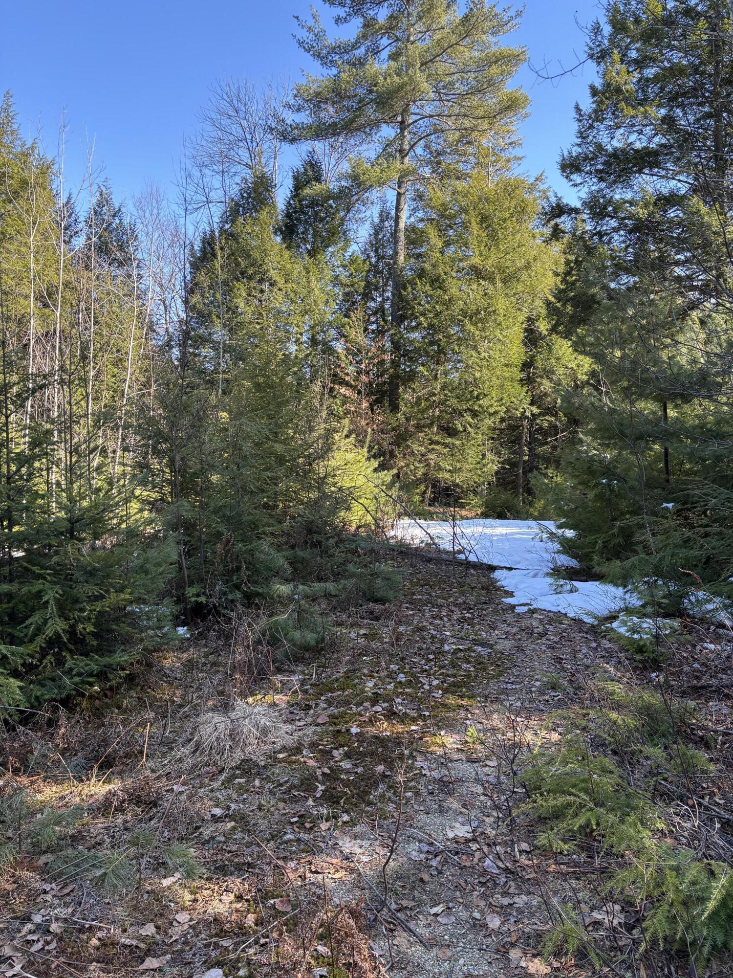 6 Bog Brook Loop West Paris ME 04289