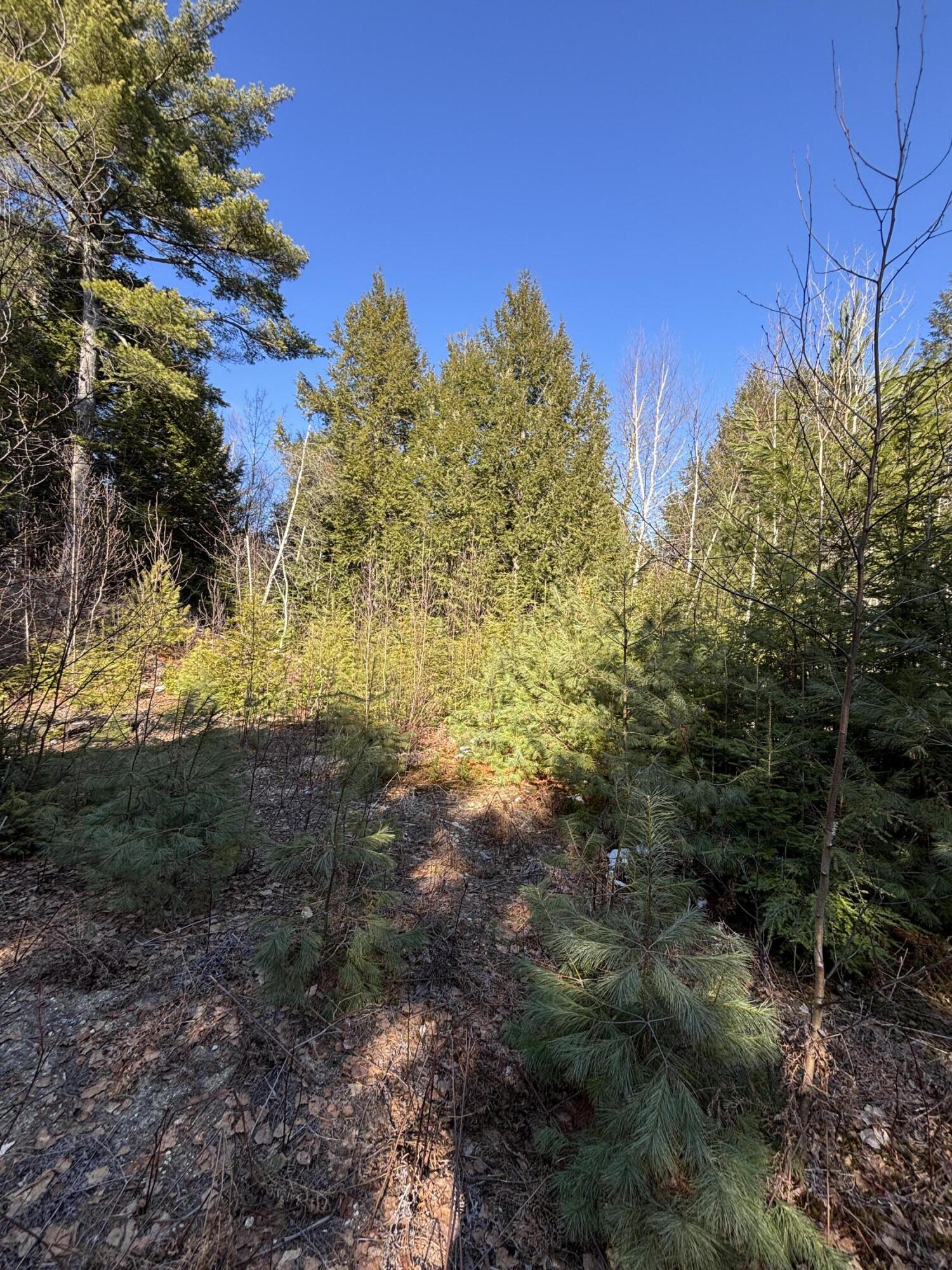 6 Bog Brook Loop West Paris ME 04289