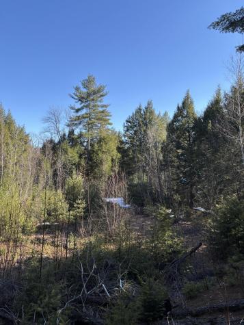 6 Bog Brook Loop West Paris ME 04289
