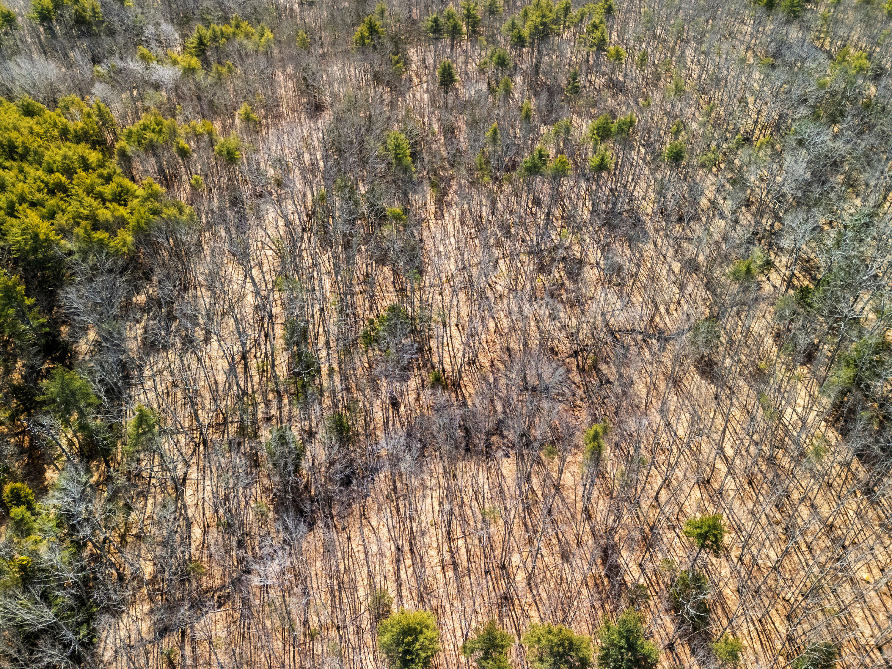 00 Middle Road Warren ME 04864