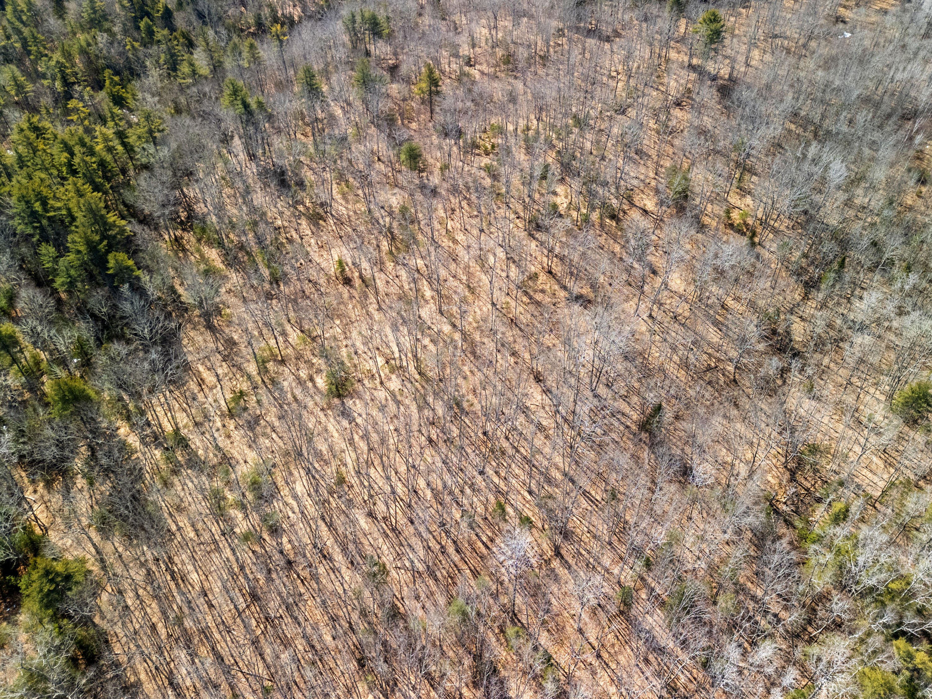 00 Middle Road Warren ME 04864