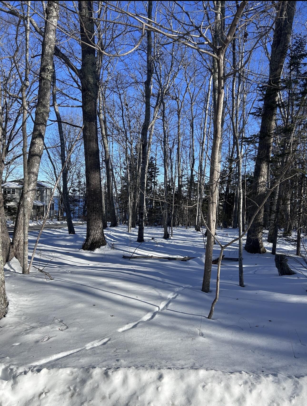 100 Degregoire Park Bar Harbor ME 04609