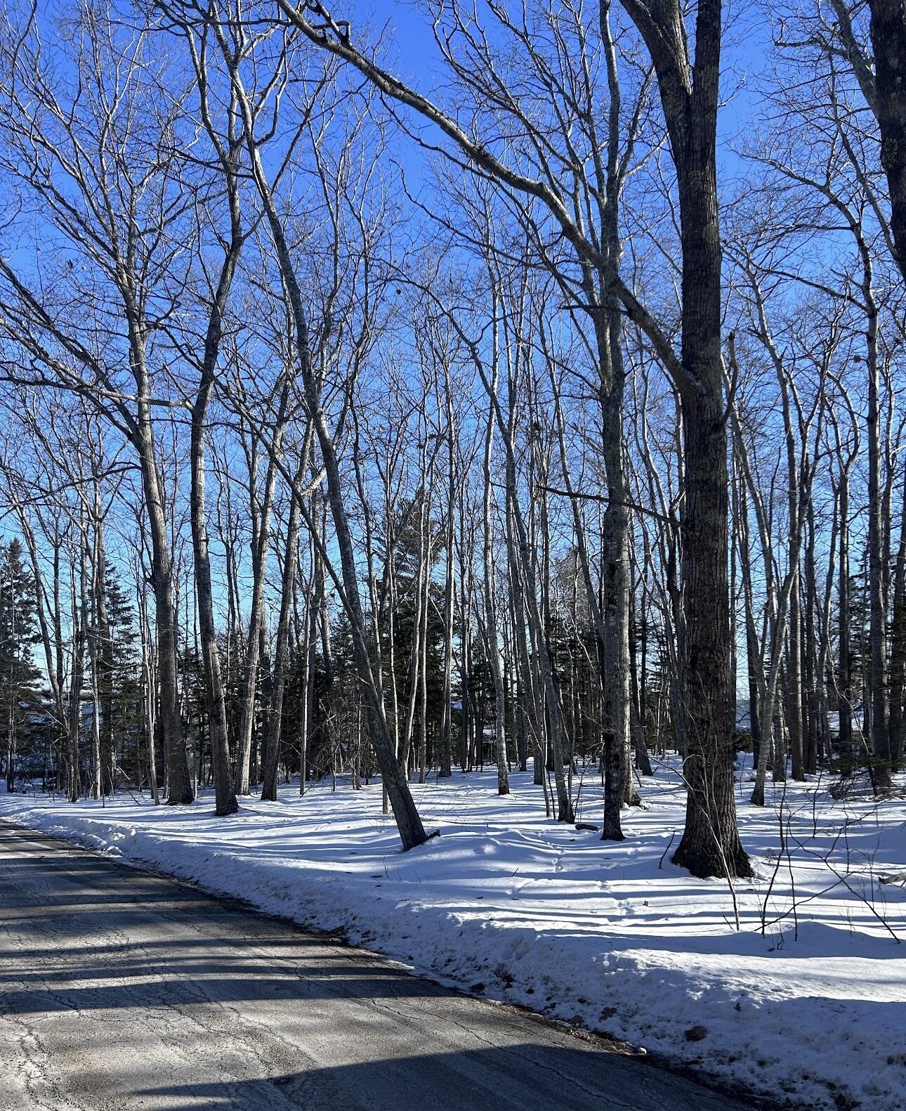 100 Degregoire Park Bar Harbor ME 04609