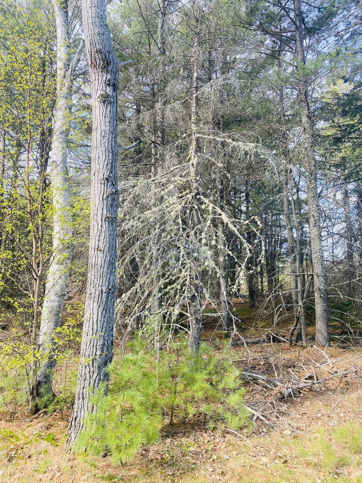 75 (#6) Pine Ledge Road Bangor ME 04401