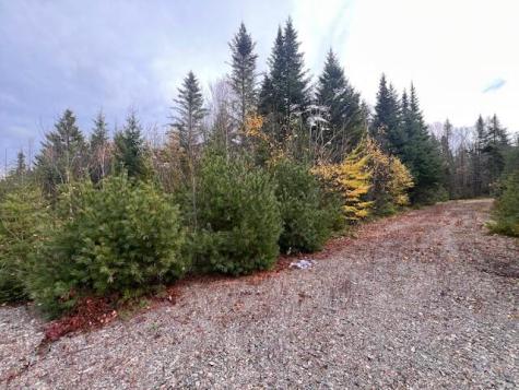 M4 L2-14 Yellow Birch Road Whiting ME 04691