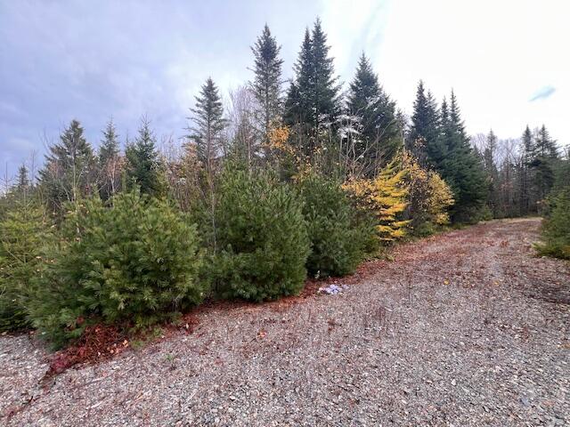 M4 L2-14 Yellow Birch Road Whiting ME 04691