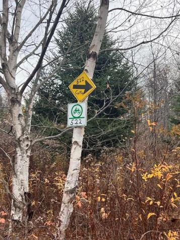 M4 L2-14 Yellow Birch Road Whiting ME 04691