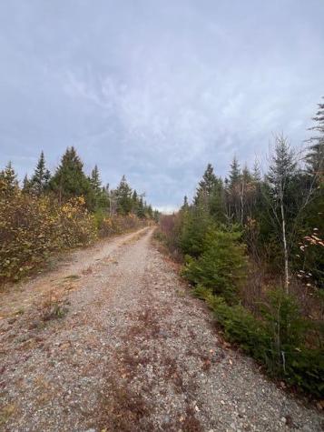 M4 L2-14 Yellow Birch Road Whiting ME 04691