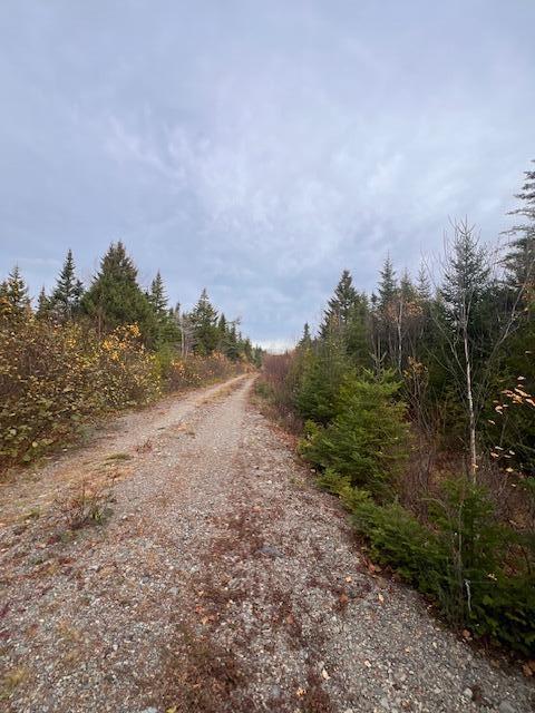 M4 L2-14 Yellow Birch Road Whiting ME 04691