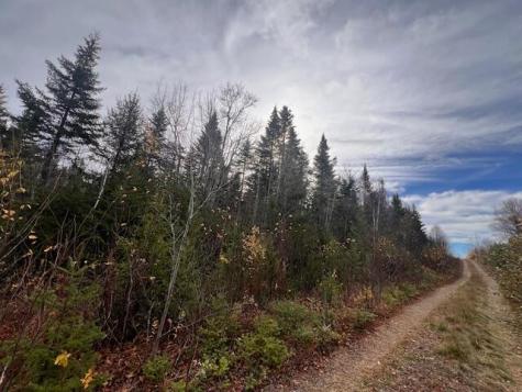 M4 L2-14 Yellow Birch Road Whiting ME 04691