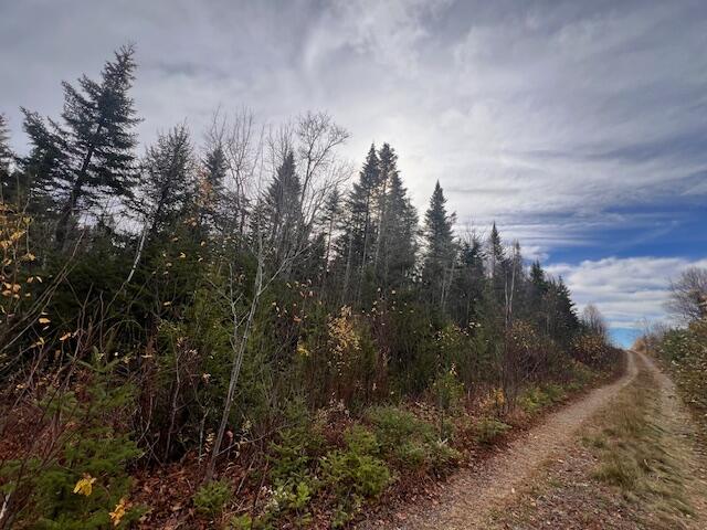 M4 L2-14 Yellow Birch Road Whiting ME 04691