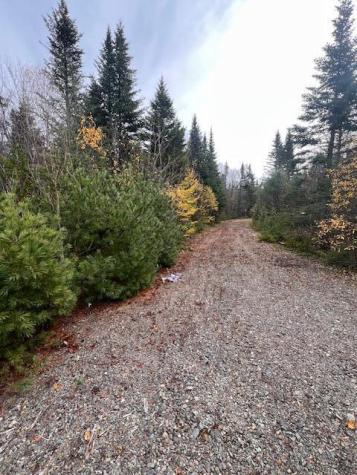 M4 L2-14 Yellow Birch Road Whiting ME 04691