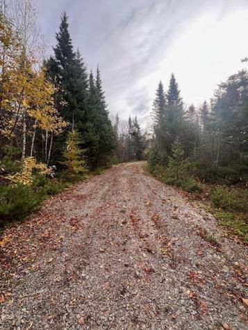 M4 L2-14 Yellow Birch Road Whiting ME 04691