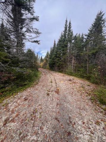 M4 L2-14 Yellow Birch Road Whiting ME 04691