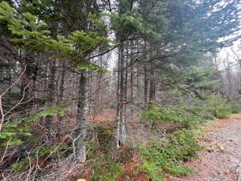 M4 L2-14 Yellow Birch Road Whiting ME 04691