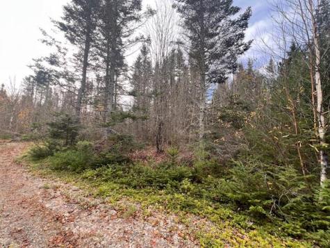 M4 L2-14 Yellow Birch Road Whiting ME 04691