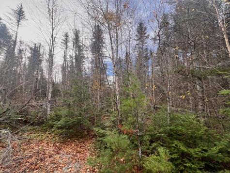 M4 L2-14 Yellow Birch Road Whiting ME 04691