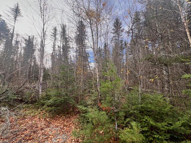 M4 L2-14 Yellow Birch Road Whiting ME 04691