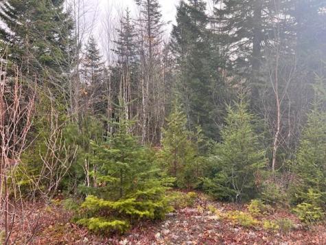 M4 L2-14 Yellow Birch Road Whiting ME 04691