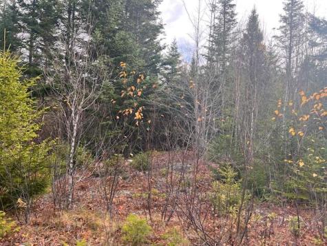 M4 L2-14 Yellow Birch Road Whiting ME 04691