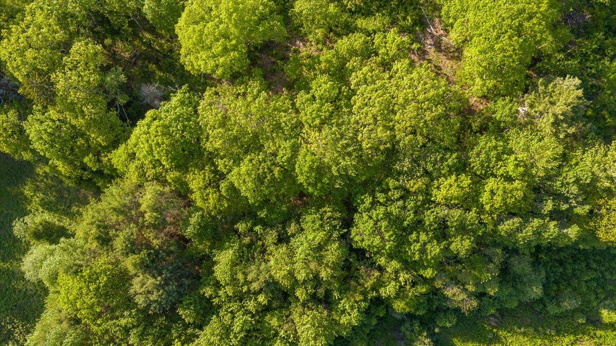 2195 Friendship Road Waldoboro ME 04572