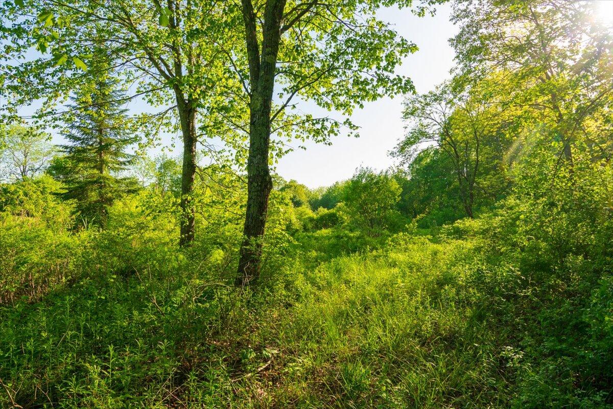 2195 Friendship Road Waldoboro ME 04572