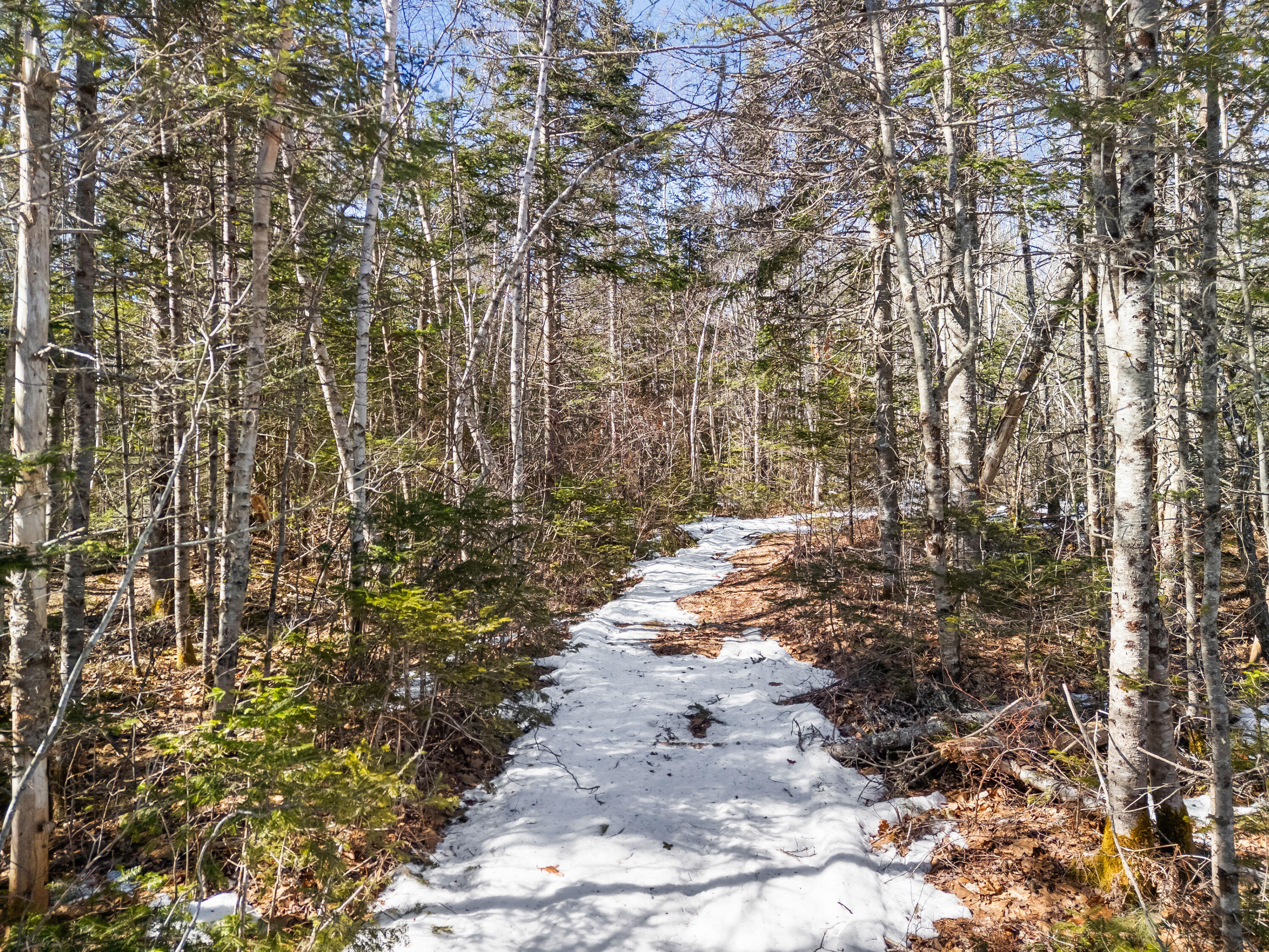 180 Burket Mill Road Waldoboro ME 04572