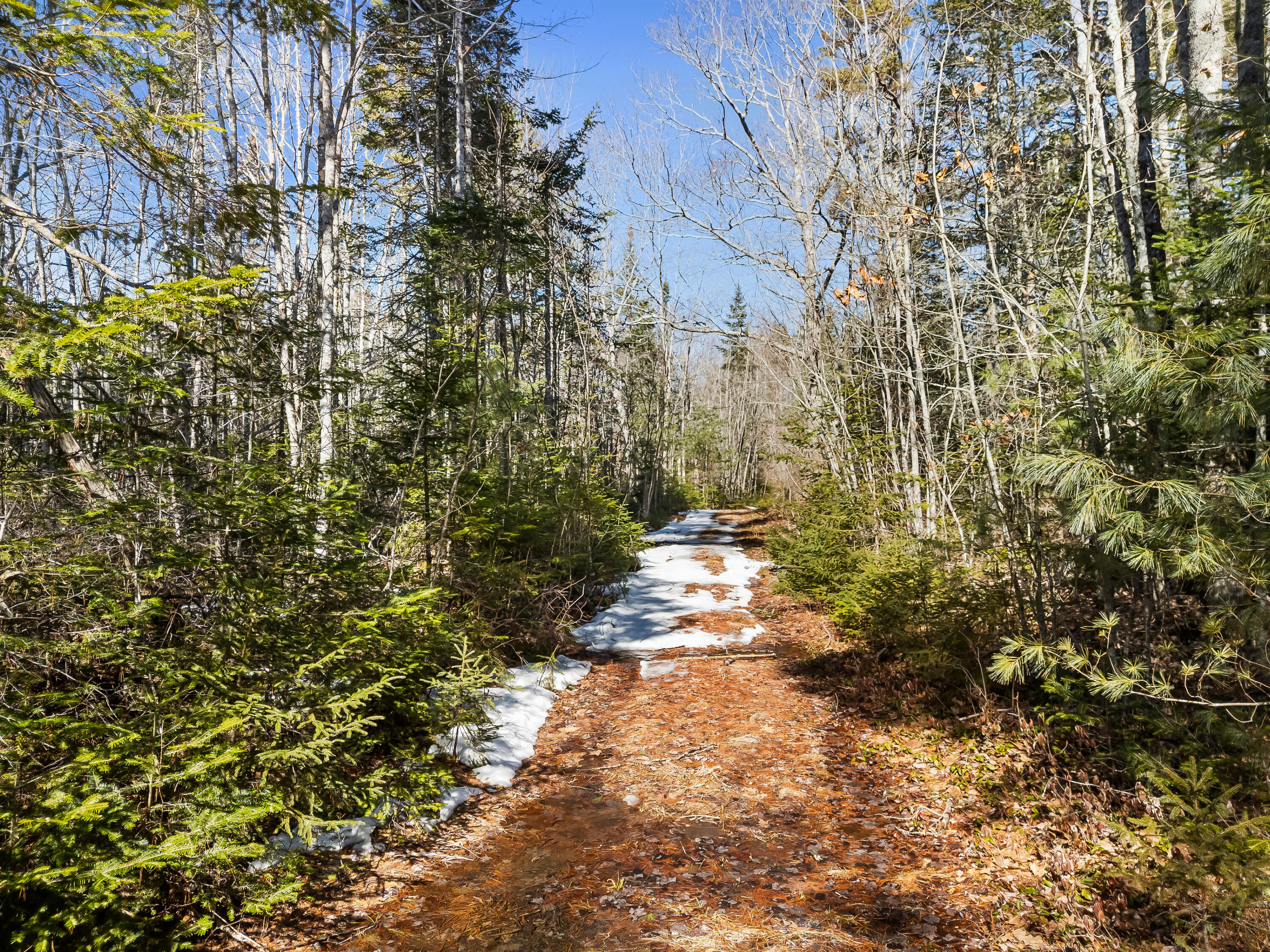 180 Burket Mill Road Waldoboro ME 04572