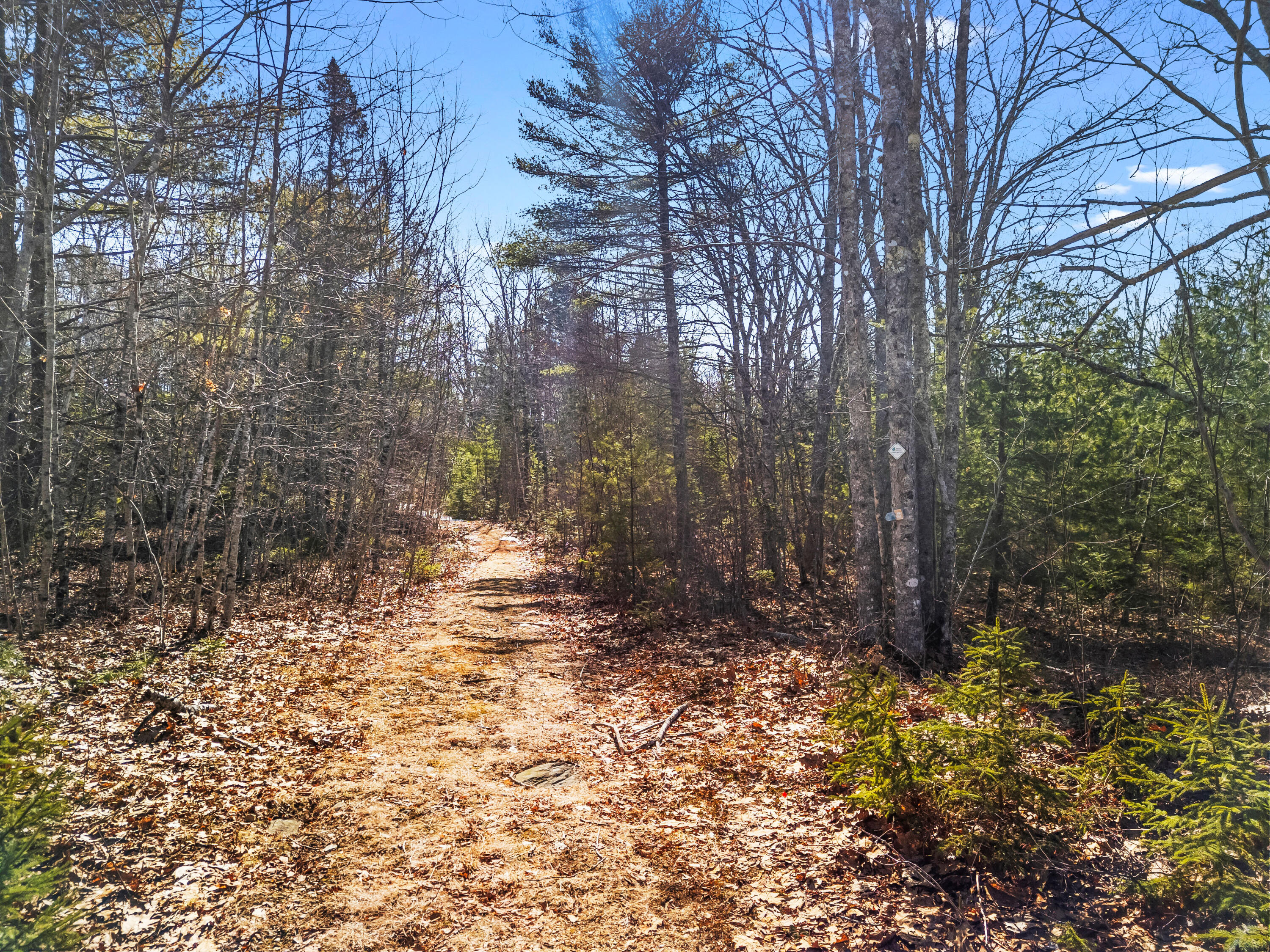 180 Burket Mill Road Waldoboro ME 04572
