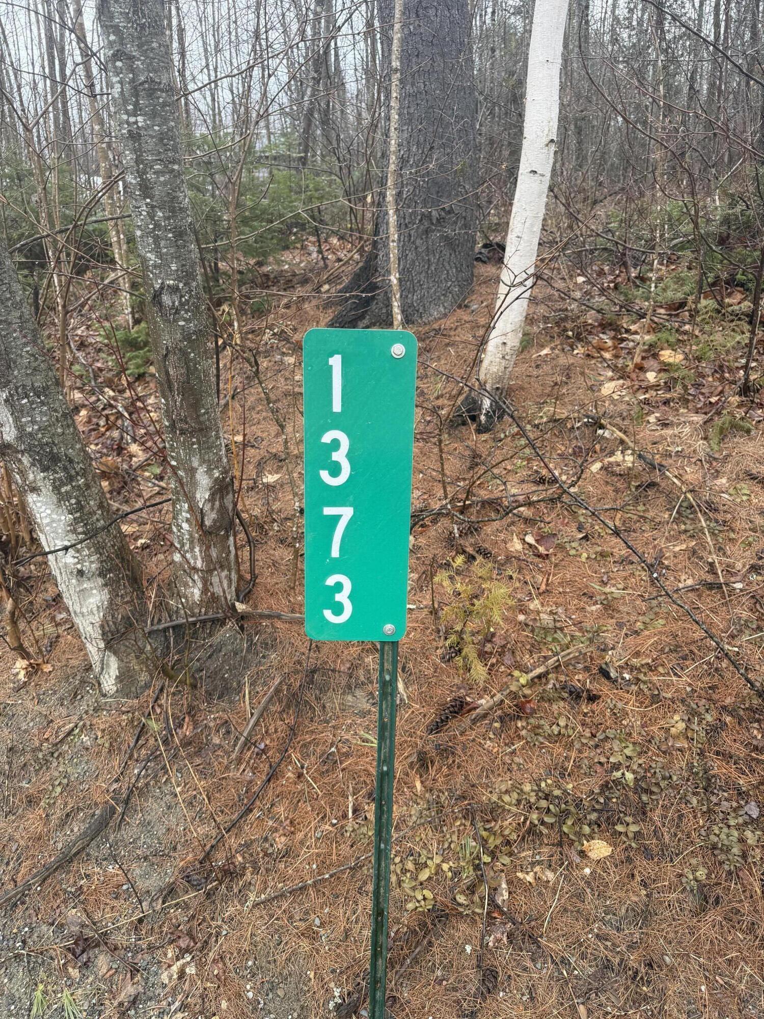 1373 Bailey Road Jackson ME 04921