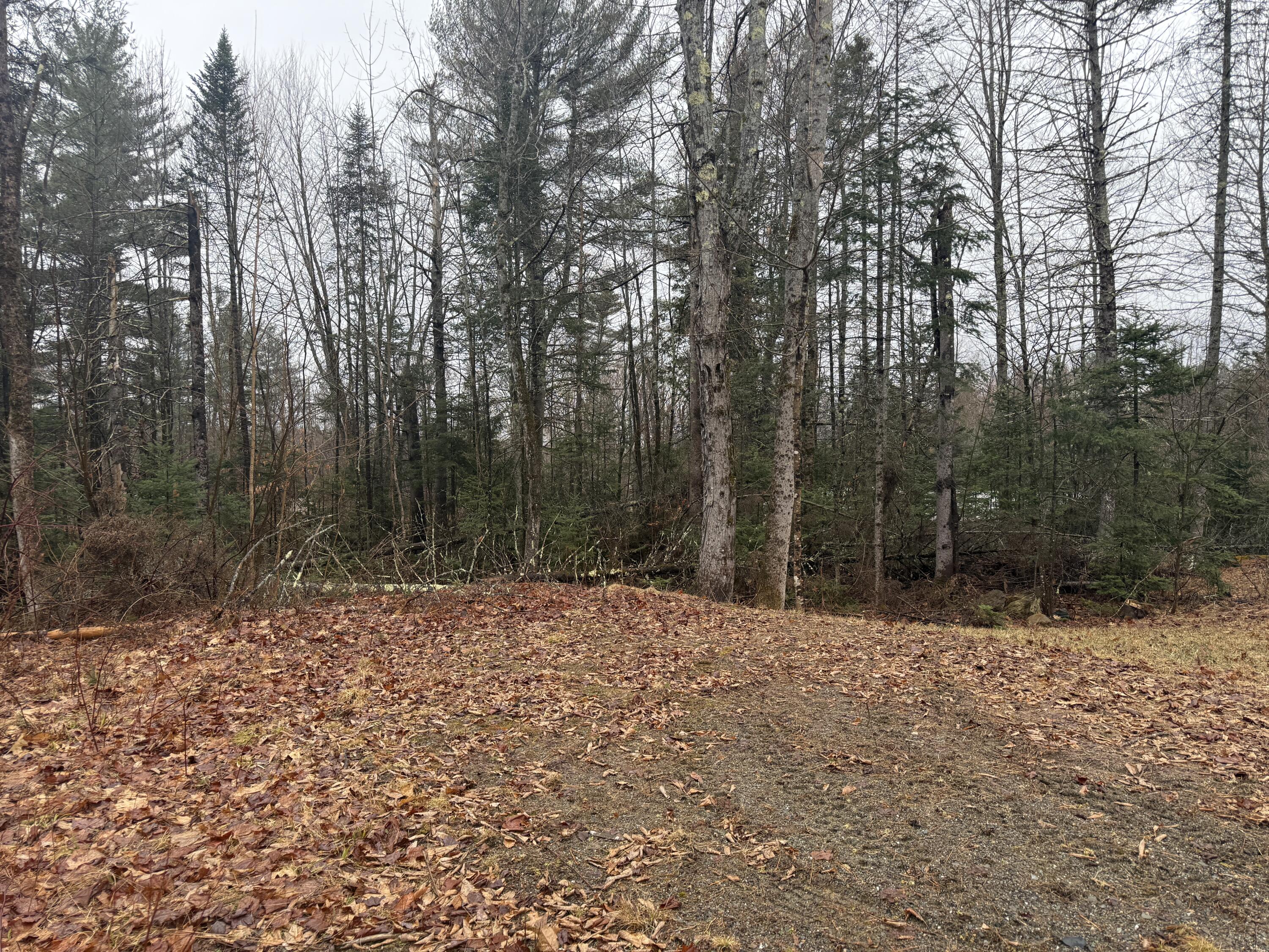 1373 Bailey Road Jackson ME 04921