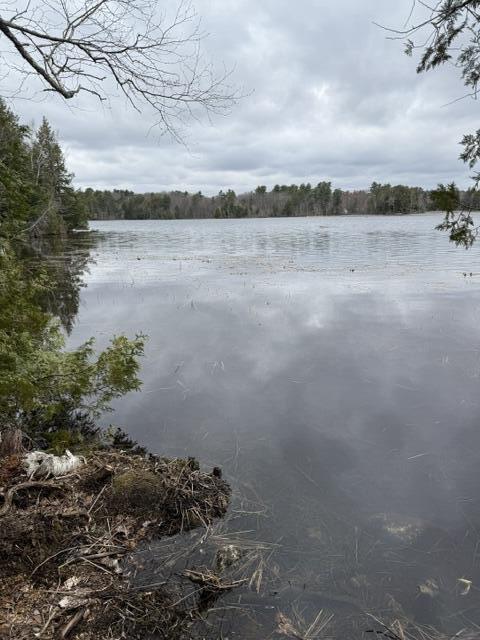 Lot 9 Wentworth Cove West Gardiner ME 04345