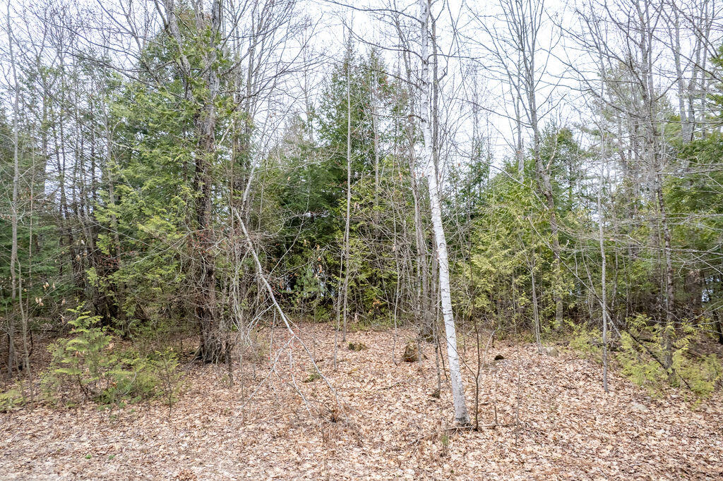 Lot 9 Wentworth Cove West Gardiner ME 04345