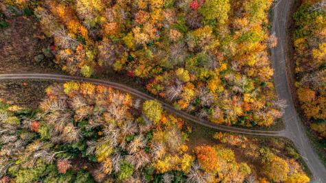 13A-1 Elephant Mountain Greenville ME 04441