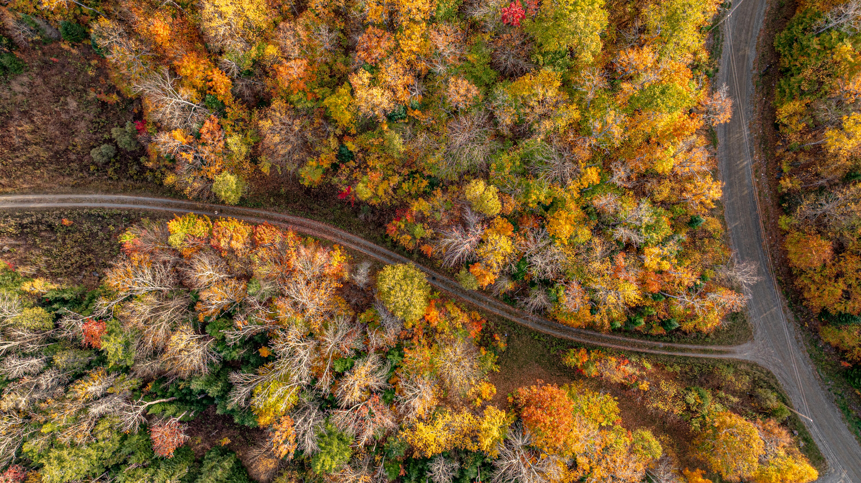 13A-1 Elephant Mountain Greenville ME 04441